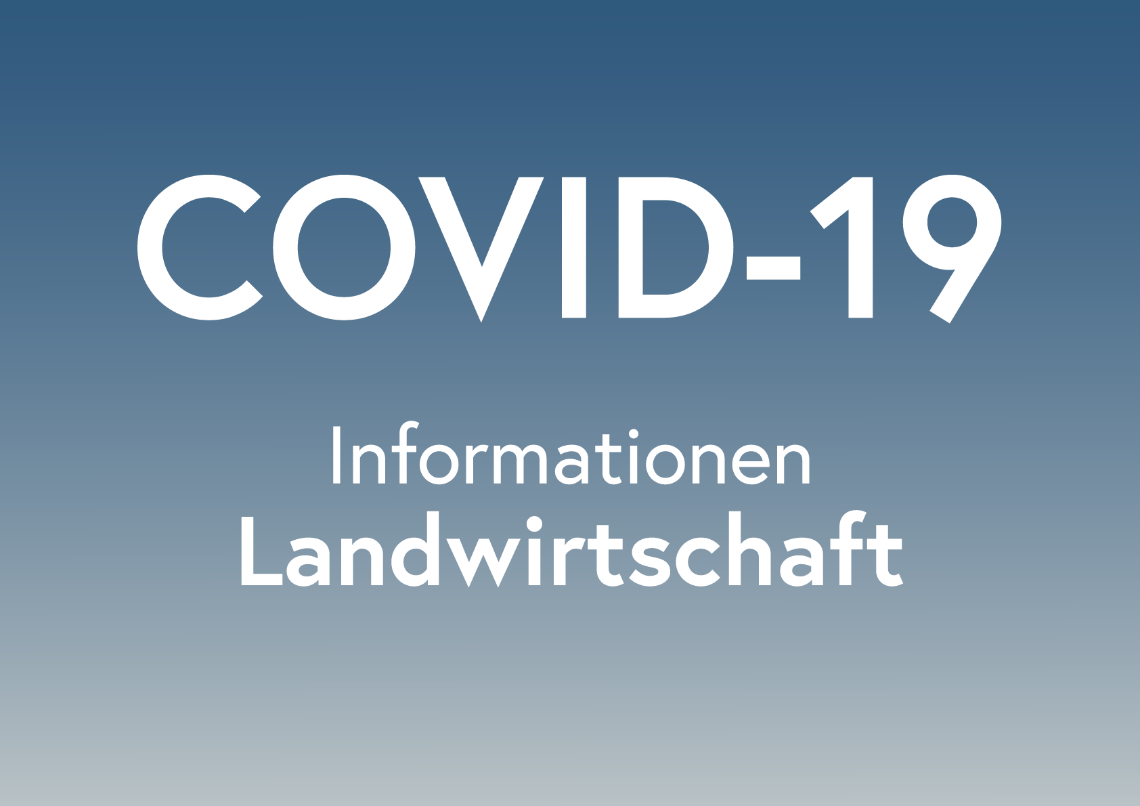 Fragen und Antworten zum Corona-Virus